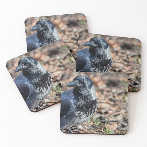 Item preview, Hooded Crow II designed and sold by Eidetic Photos.