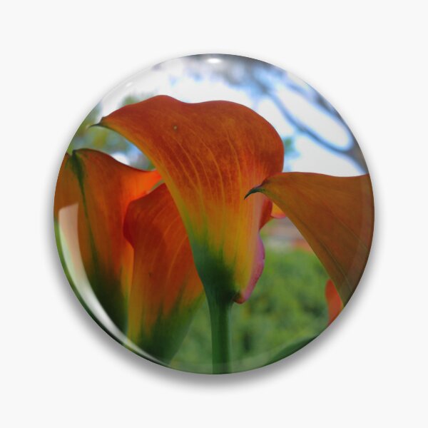 Item preview, Calla Lily. ( 2 )  "Tequila Sunrise" designed and sold by Larry Davis.