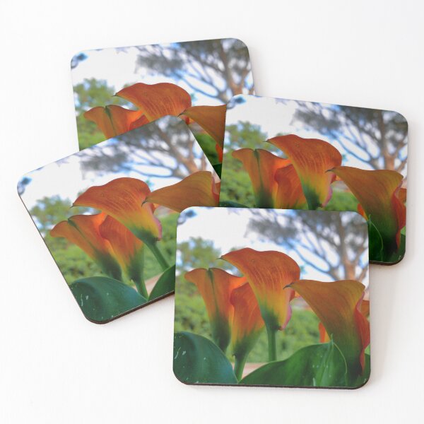 Item preview, Calla Lily. ( 2 )  "Tequila Sunrise" designed and sold by Larry Davis.