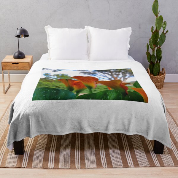 Item preview, Calla Lily. ( 2 )  "Tequila Sunrise" designed and sold by Larry Davis.