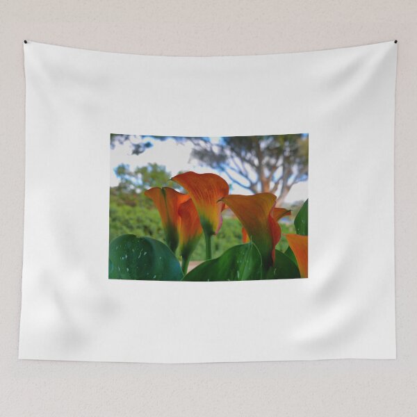 Item preview, Calla Lily. ( 2 )  "Tequila Sunrise" designed and sold by Larry Davis.