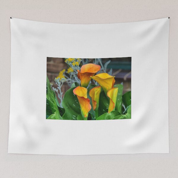 Item preview, Calla Lily “Tequila Sunrise”   designed and sold by Larry Davis.