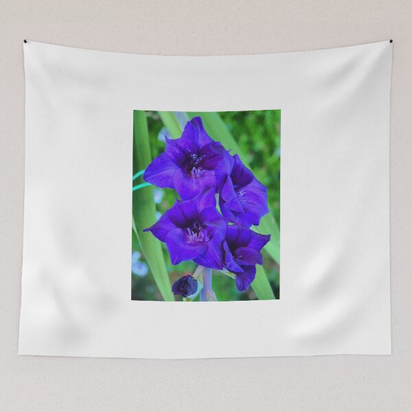 Item preview, Gladioli "Purple Rain" designed and sold by Larry Davis.