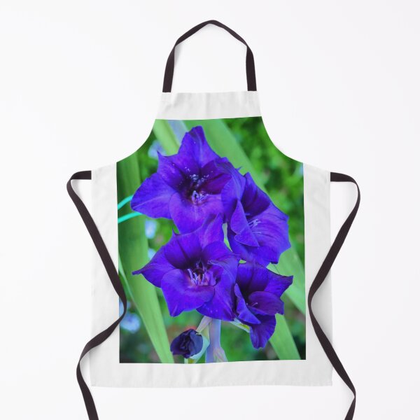 Item preview, Gladioli "Purple Rain" designed and sold by Larry Davis.