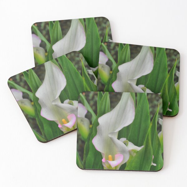 Item preview, Calla Lily "White Peace".   designed and sold by Larry Davis.