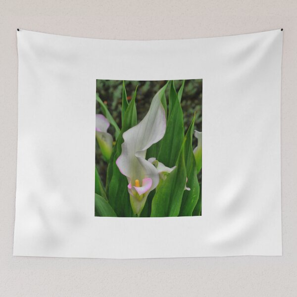 Item preview, Calla Lily "White Peace".   designed and sold by Larry Davis.