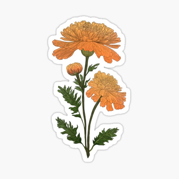 Artikel-Vorschau von Ringelblumen, designt und verkauft von Marguerite Artistry.