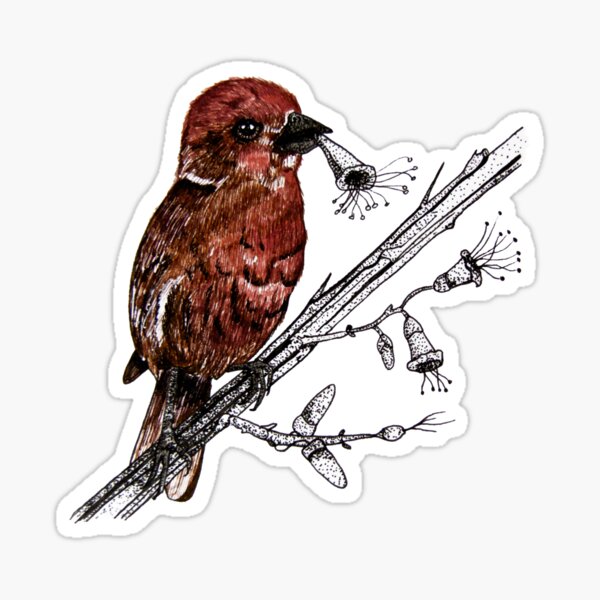 Item preview, House Finch | Backyard Birds designed and sold by Aspire Happy Art.