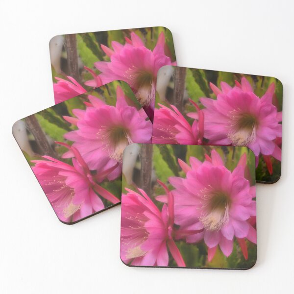 Item preview, Epiphyllum Pink designed and sold by Larry Davis.
