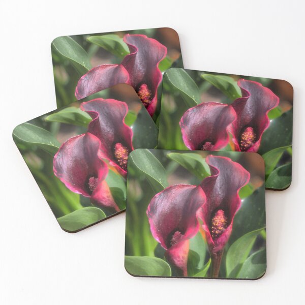 Item preview, Calla Lily "Rudolph" designed and sold by Larry Davis.