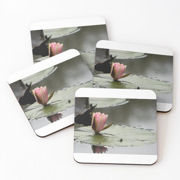 Item preview, Monet's Garden -- Waterlilies (4) The only one. designed and sold by Larry Davis.