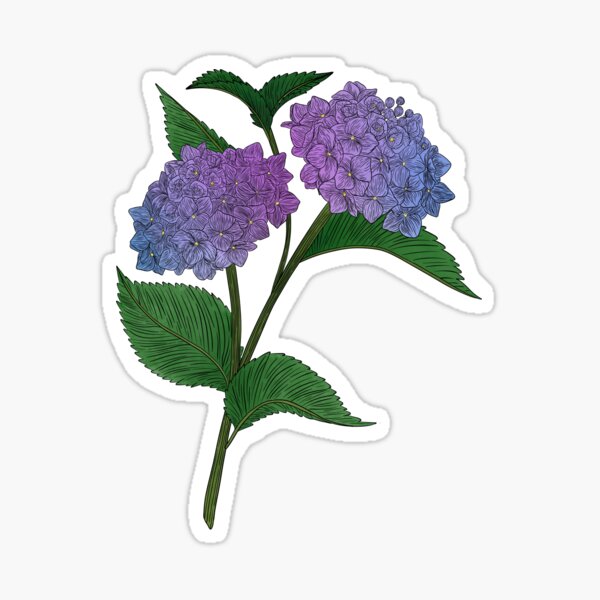 Artikel-Vorschau von Blaue und violette Hortensienblüten, designt und verkauft von Marguerite Artistry.