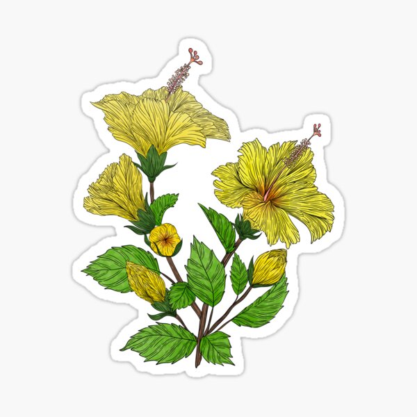 Artikel-Vorschau von Gelbe Hibiskusblüten, designt und verkauft von Marguerite Artistry.