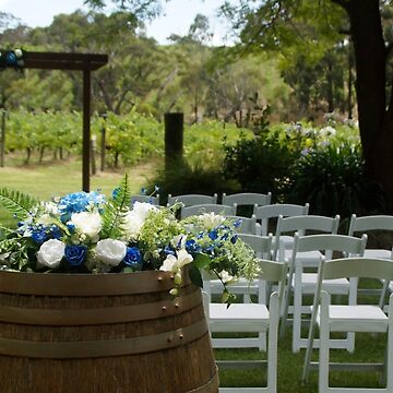 Artwork thumbnail, Vineyard Wedding by Adelaide Artist Avril Thomas at Magpie Springs  by MagpieSprings