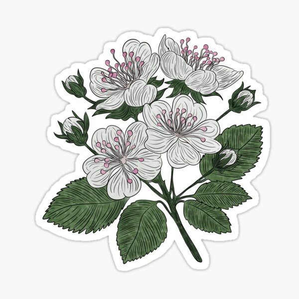 Item preview, Hawthorn Flowers designed and sold by Marguerite Artistry.