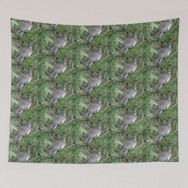 Item preview, Cute Juvenile Wood Pigeon in a Tree designed and sold by naturegallery.