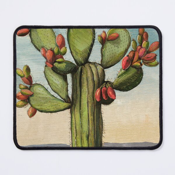 Item preview, El Nopal (The Cactus) Loteria Card 39 designed and sold by matteflor.