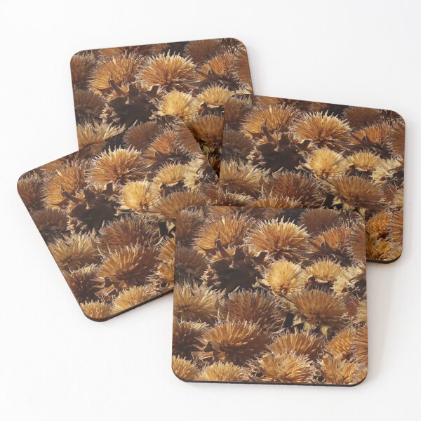 Item preview, Dry Desert Flower  designed and sold by hendrickssdh.