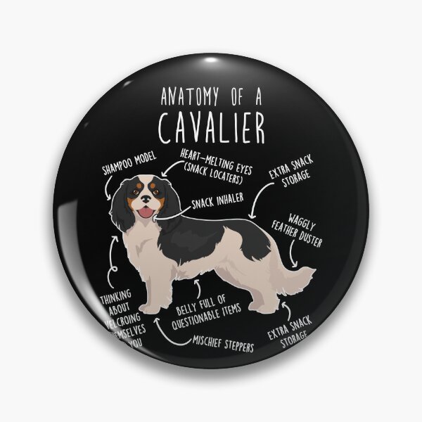 Item preview, Tri-Color Cavalier King Charles Spaniel Dog Anatomy designed and sold by Clara Hollins.