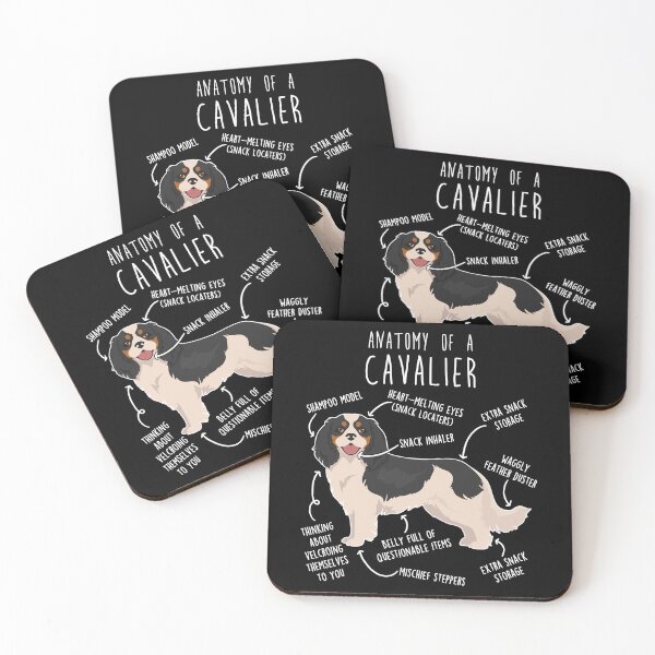 Item preview, Tri-Color Cavalier King Charles Spaniel Dog Anatomy designed and sold by Clara Hollins.