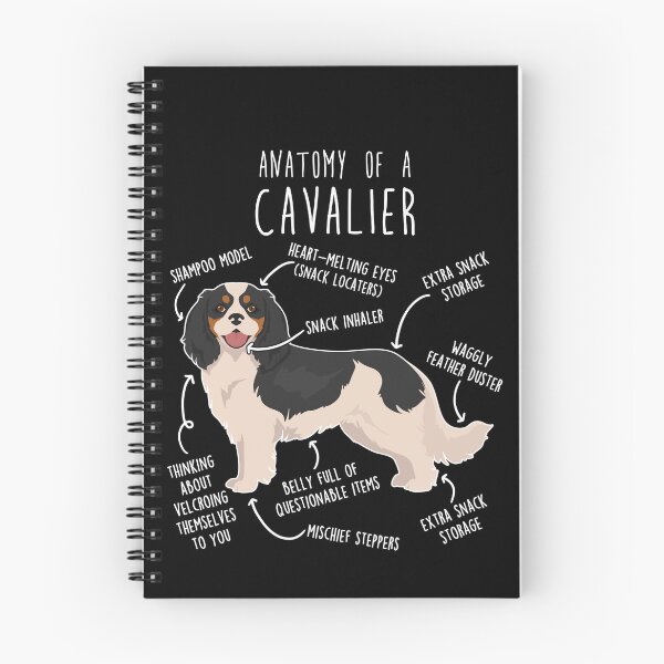 Item preview, Tri-Color Cavalier King Charles Spaniel Dog Anatomy designed and sold by Clara Hollins.