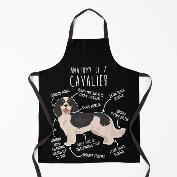 Item preview, Tri-Color Cavalier King Charles Spaniel Dog Anatomy designed and sold by Clara Hollins.