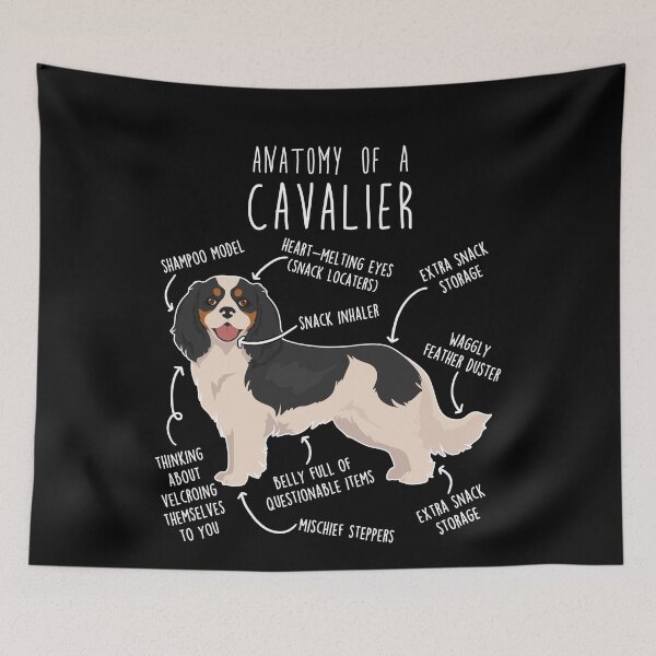 Item preview, Tri-Color Cavalier King Charles Spaniel Dog Anatomy designed and sold by Clara Hollins.