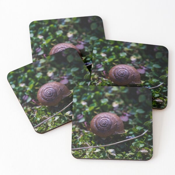 Item preview, Little Shell designed and sold by TheeForestFox Shop.