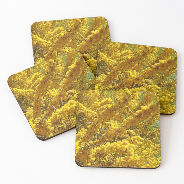 Item preview, Wattle Flowers Australian Native Flower Photo designed and sold by Sarah  Rajkotwala.
