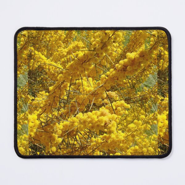 Item preview, Wattle Flowers Australian Native Flower Photo designed and sold by Sarah  Rajkotwala.