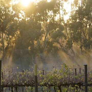 Artwork thumbnail, Magpie Springs Autumn Sunrise - by Avril Thomas by MagpieSprings