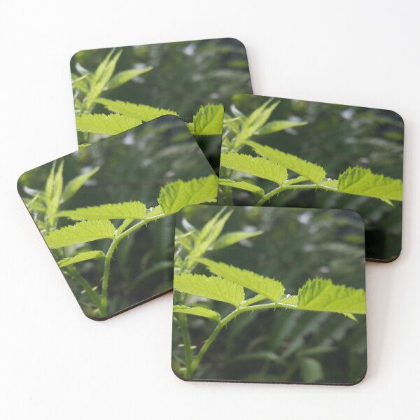 Item preview, Light green plant leaf wallpaper focuses on the foreground designed and sold by Yusuf-Design.