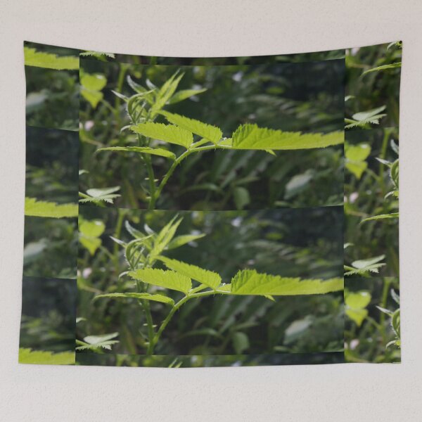 Item preview, Light green plant leaf wallpaper focuses on the foreground designed and sold by Yusuf-Design.