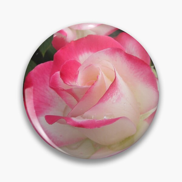Item preview, Red and White Rose Flower - Fire and Ice designed and sold by Sarah  Rajkotwala.