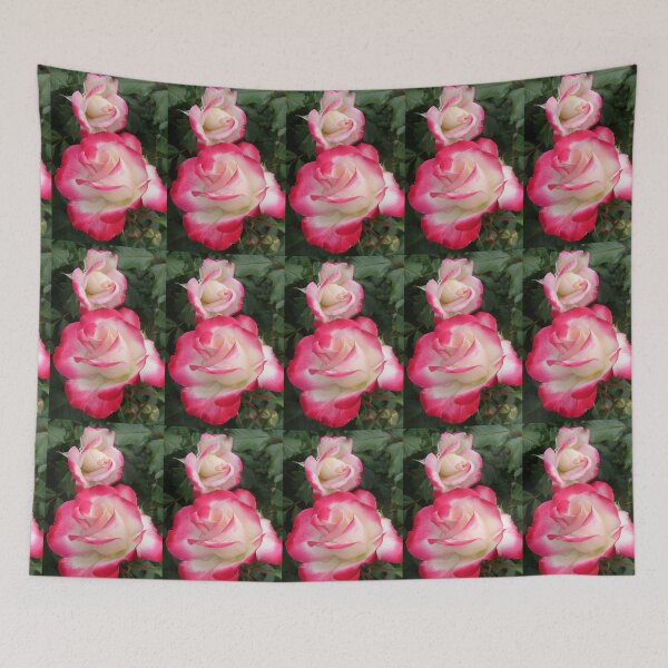 Item preview, Red and White Rose Flower - Fire and Ice designed and sold by Sarah  Rajkotwala.