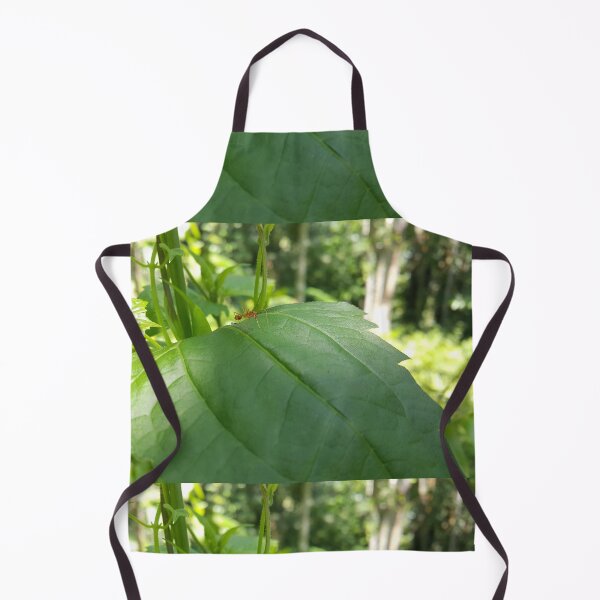 Item preview, Weaver ant on green plant leaves interspersed with sunlight. designed and sold by Yusuf-Design.