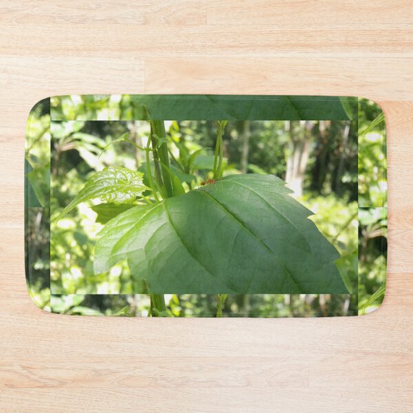 Item preview, Weaver ant on green plant leaves interspersed with sunlight. designed and sold by Yusuf-Design.
