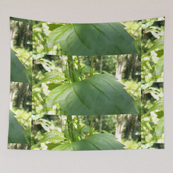 Item preview, Weaver ant on green plant leaves interspersed with sunlight. designed and sold by Yusuf-Design.