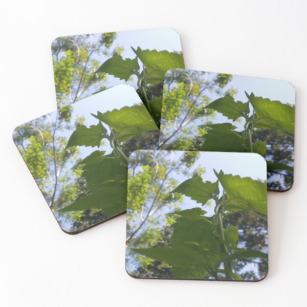 Item preview, Low angle. Beautiful and cool plant leaf background. designed and sold by Yusuf-Design.