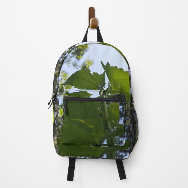 Item preview, Low angle. Beautiful and cool plant leaf background. designed and sold by Yusuf-Design.