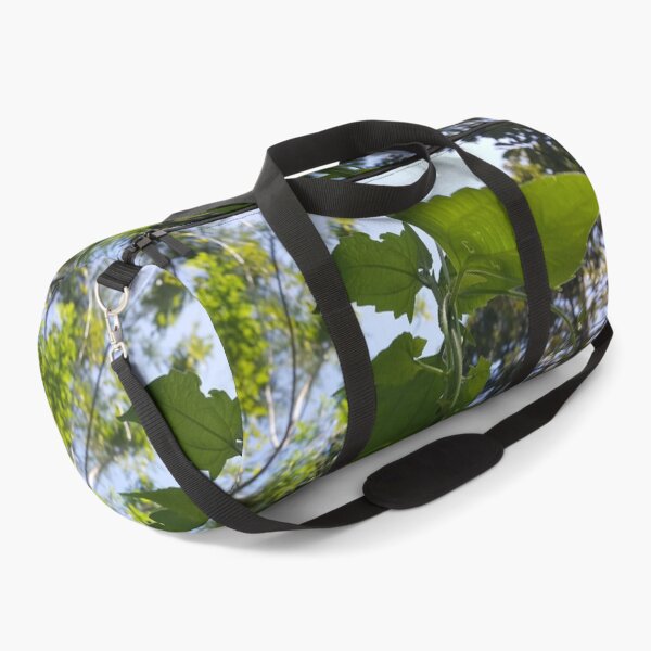 Item preview, Low angle. Beautiful and cool plant leaf background. designed and sold by Yusuf-Design.