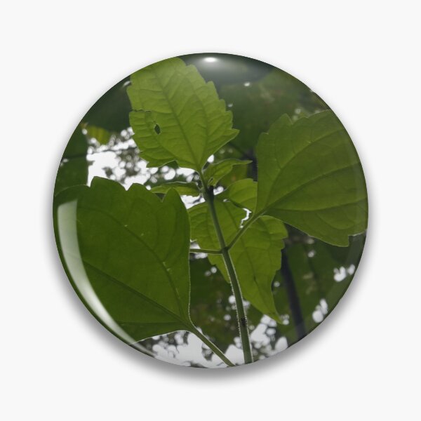 Item preview, Low angle view of plant leaves on the mountain designed and sold by Yusuf-Design.