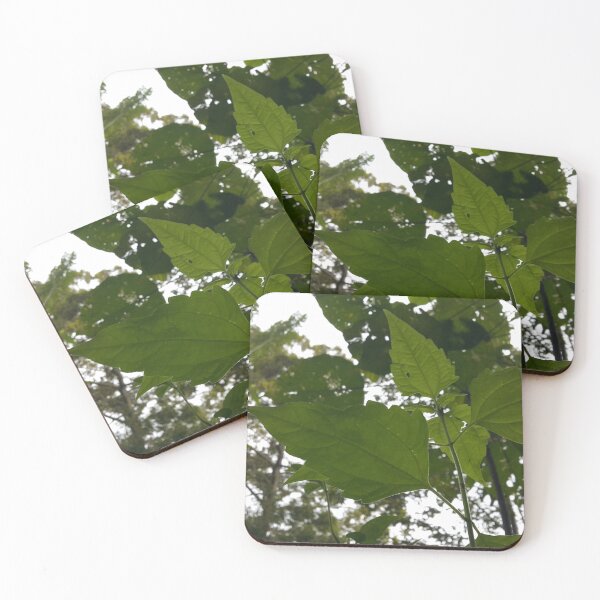 Item preview, Low angle view of plant leaves on the mountain designed and sold by Yusuf-Design.