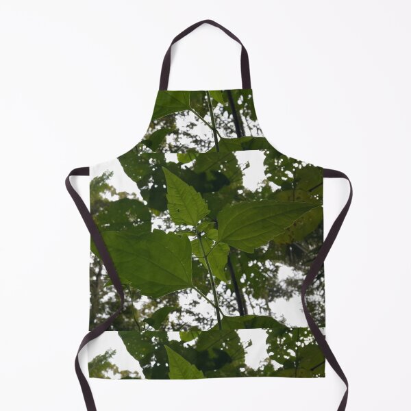 Item preview, Low angle view of plant leaves on the mountain designed and sold by Yusuf-Design.