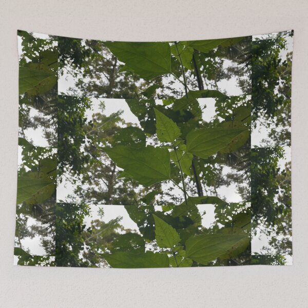 Item preview, Low angle view of plant leaves on the mountain designed and sold by Yusuf-Design.