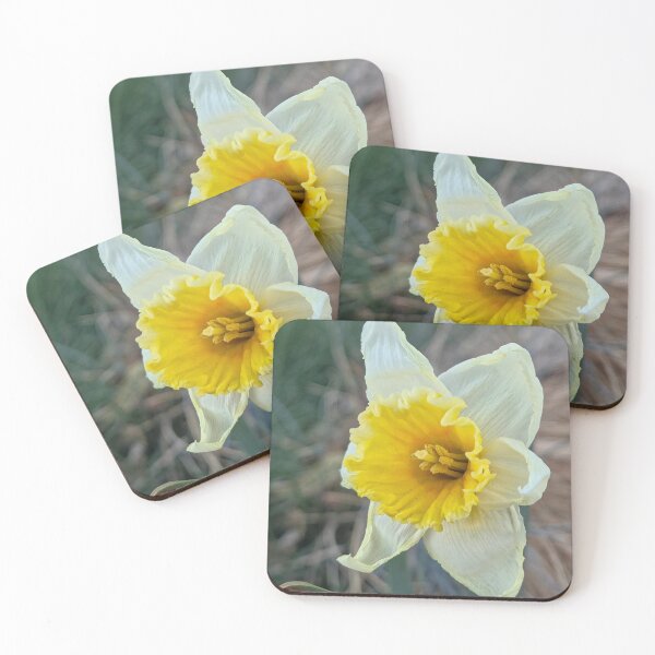 Item preview, Daffodil designed and sold by Betsy Phillips.