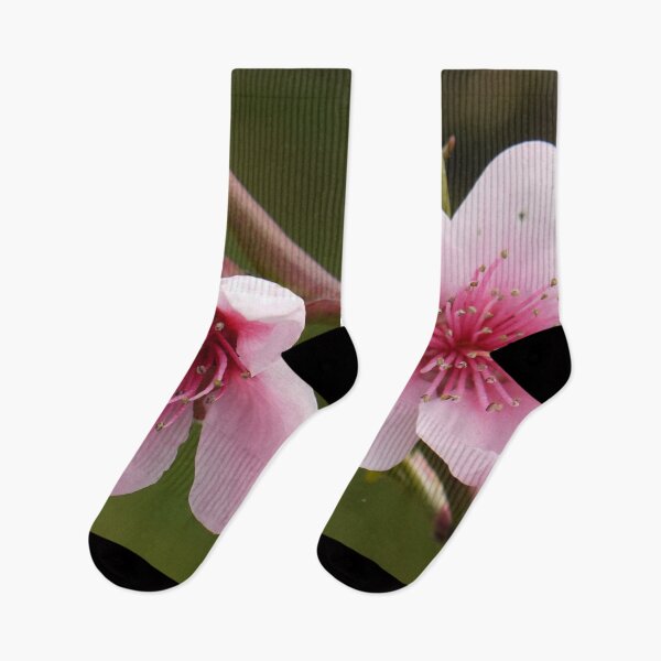 Item preview, Cherry Blossom designed and sold by Rosdenphoto.