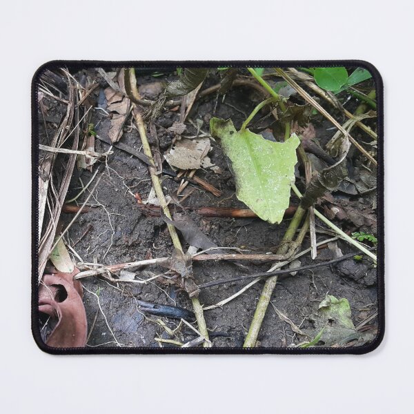 Item preview, 2 brown flies mating on the ground in the forest designed and sold by Yusuf-Design.