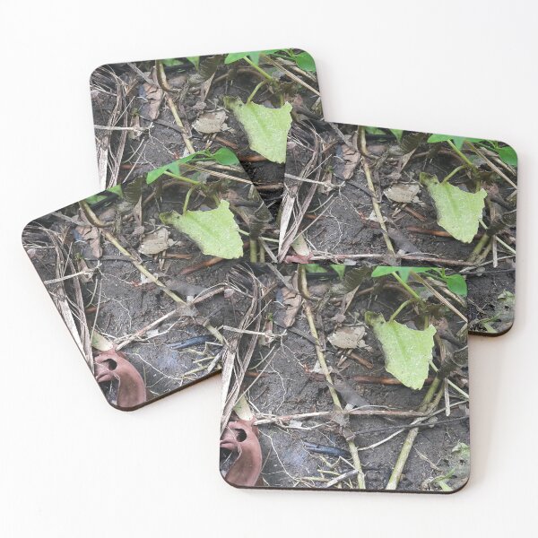 Item preview, 2 brown flies mating on the ground in the forest designed and sold by Yusuf-Design.