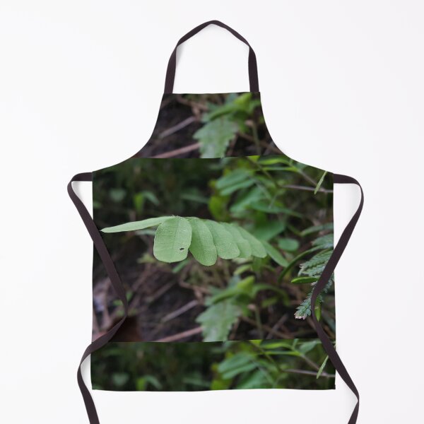 Item preview, Abrus Leaf in the forest. Perfect for Nature Lovers who love Medical Plants.  designed and sold by Yusuf-Design.